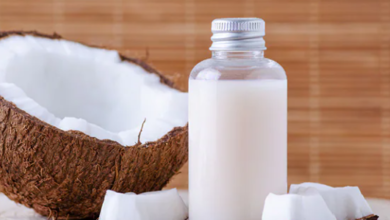 Coconut Milk or Fresh Coconut? Best Options for Solkadhi When Shopping Online