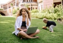 freelance career opportunities explored
