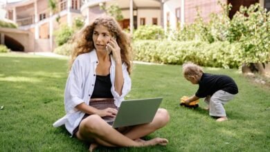 freelance career opportunities explored