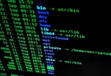 protecting online privacy tips
