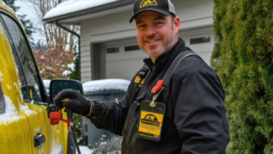 Best Pest Control Surrey Solutions for Effective and Reliable Results