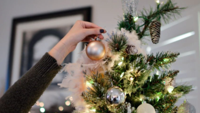 Elevating Your Festive Spirit with Christmas Decorations