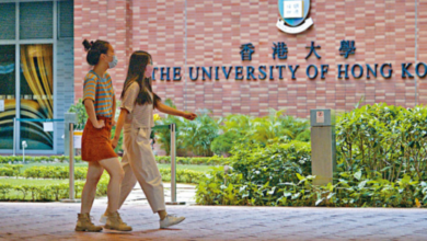 Discovering Comfort in Hong Kong