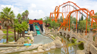 Top 3 Fantastic Travel Attractions in Johannesburg