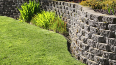 Enhancing Soil Reinforcement for Stronger Outdoor Structures