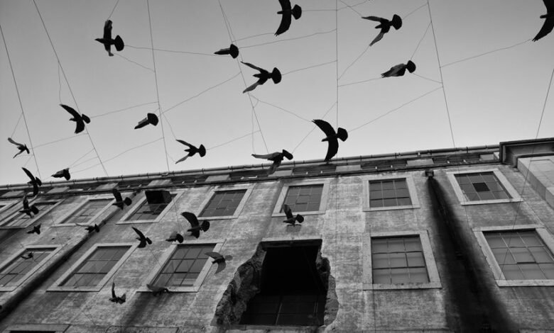 endless energy and motion