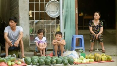 quantum node market location